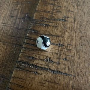 Pandora Yin-Yang Charm